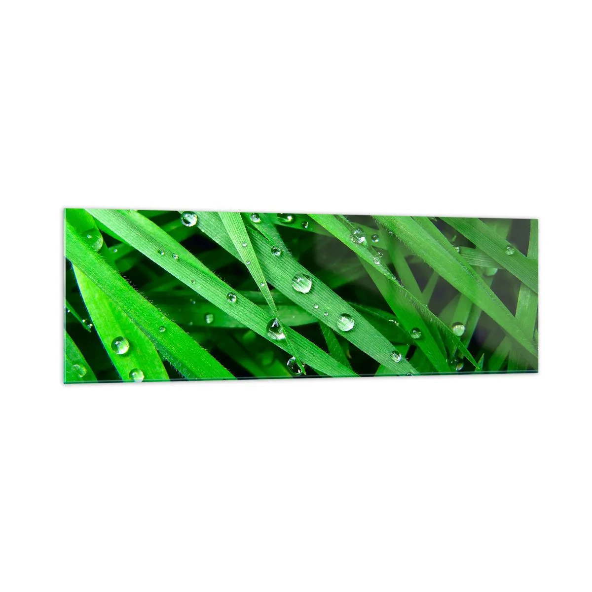 Impression sur verre - Image sur verre - Gros plan de brins d'herbe verte avec des gouttes de rosée - 160x50cm - Jouez dans le vert - Décoration murale moderne pour le salon et la chambre ARTTOR