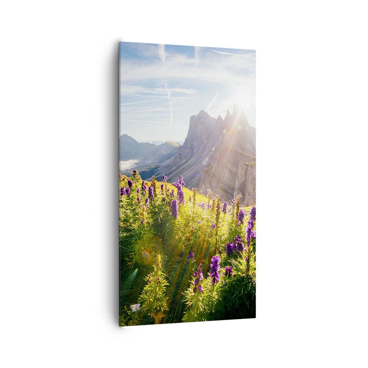 Impression sur toile - Image sur toile - La vie secrète des herbes - 65x120 cm