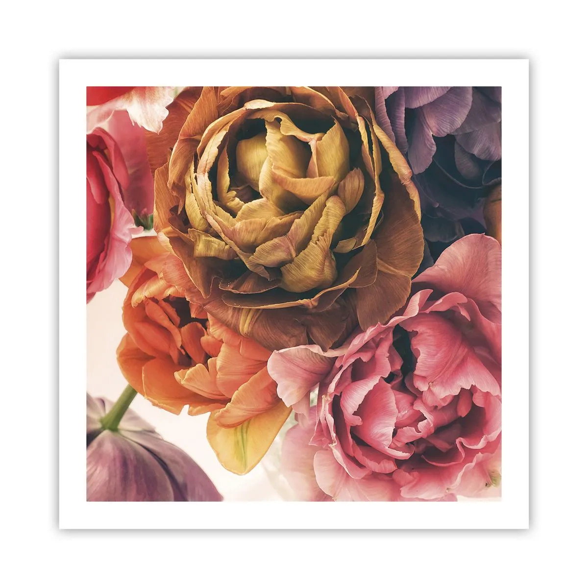 Affiche - Poster - La fête de la vie - 60x60 cm