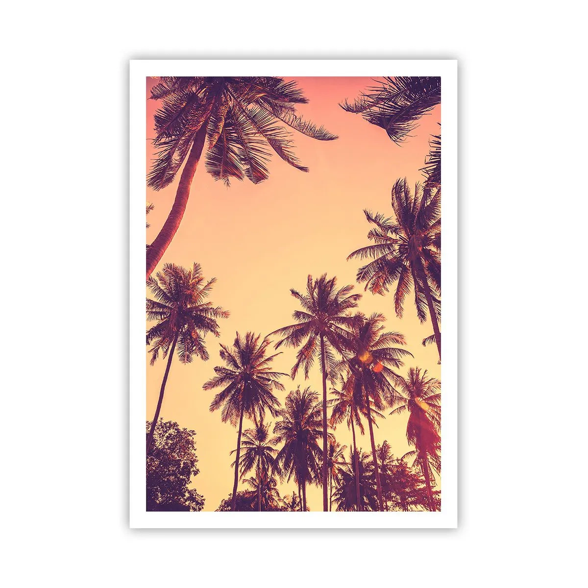 Affiche - Poster - Variation tropicale - 70x100 cm
