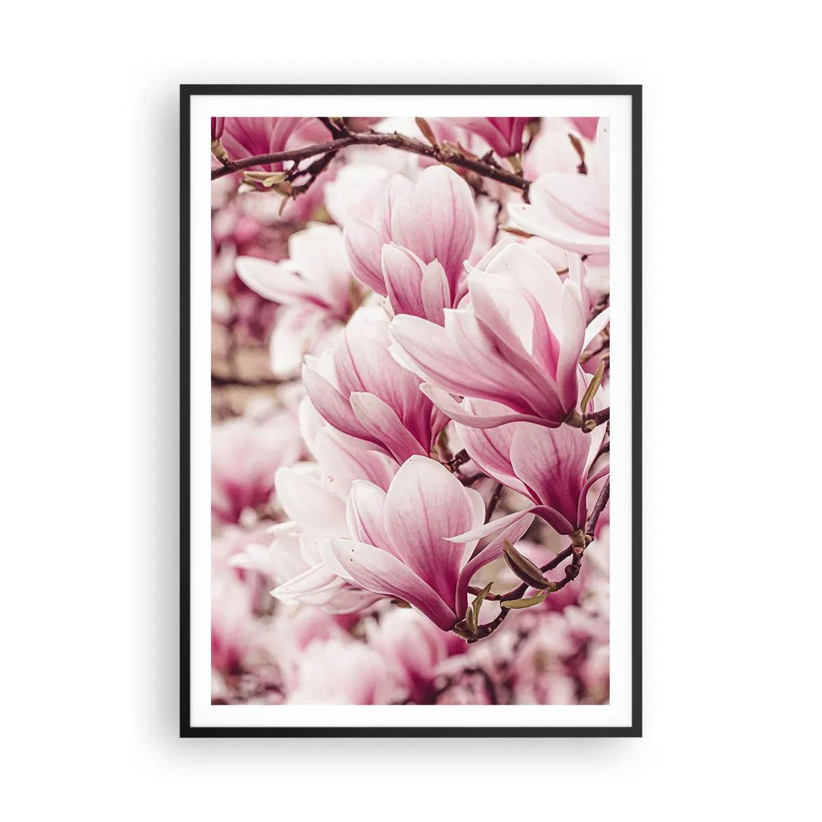Affiche dans un cadre noir - Poster - Le printemps est rose - 70x100 cm
