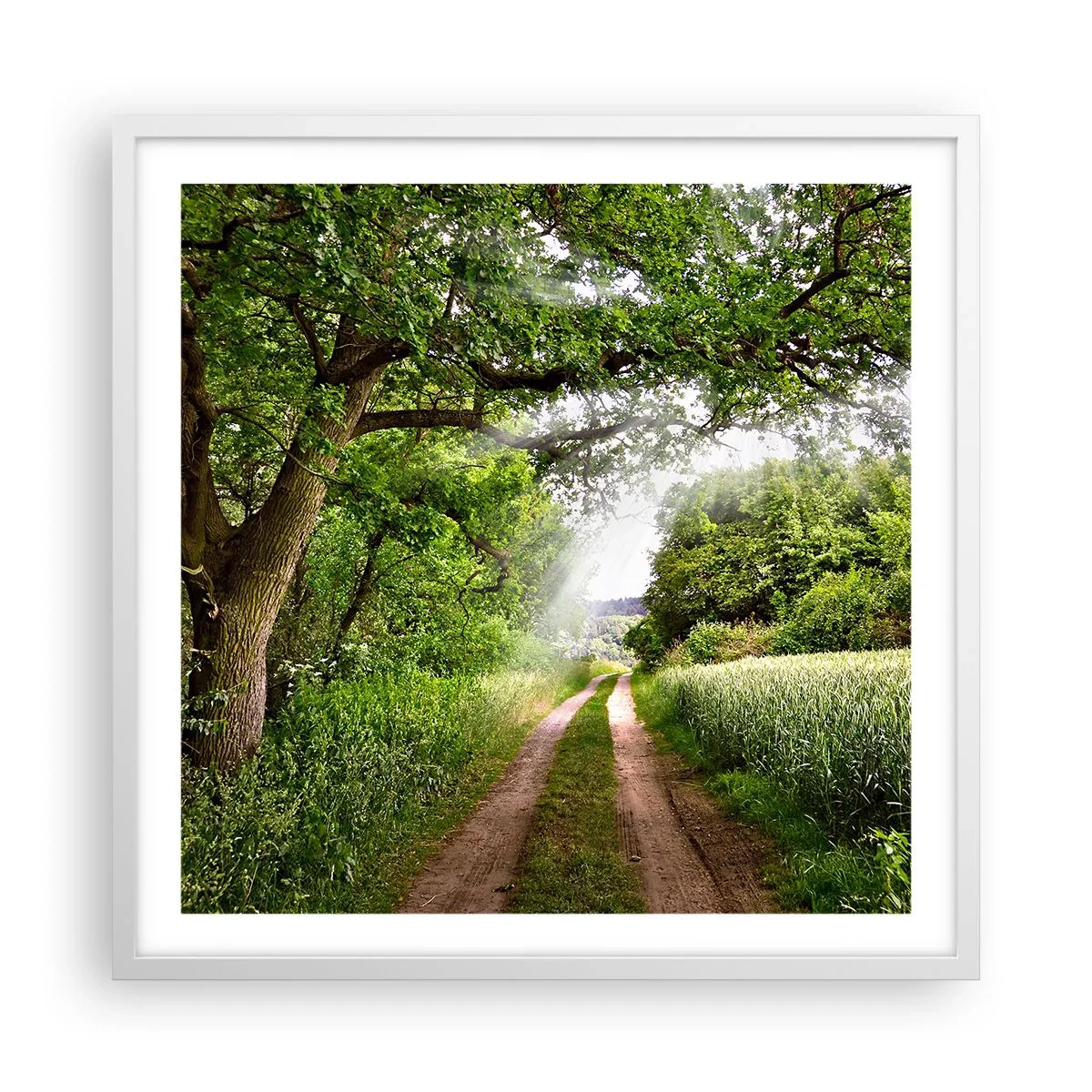 Affiche dans un cadre blanc - Poster - Et in Arcadia ego - 60x60 cm