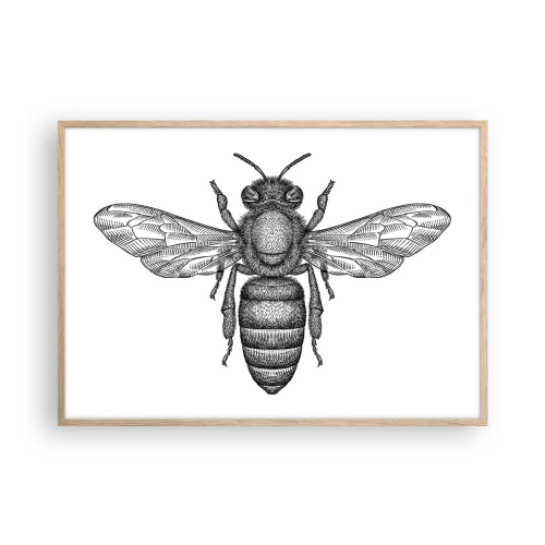 Affiche dans un chêne clair - Poster - Portrait d'insecte - 100x70 cm