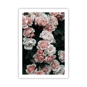 Affiche - Poster - Un bouquet de roses aux délicates nuances de rose sur fond sombre - 50x70cm - Ensemble de rose - Décoration murale moderne pour le salon et la chambre ARTTOR