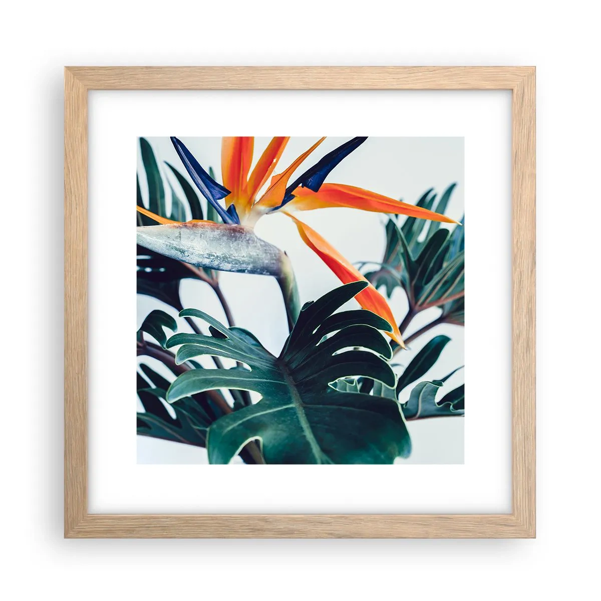 Affiche dans un chêne clair - Poster - Le buisson oiseaux - 30x30 cm