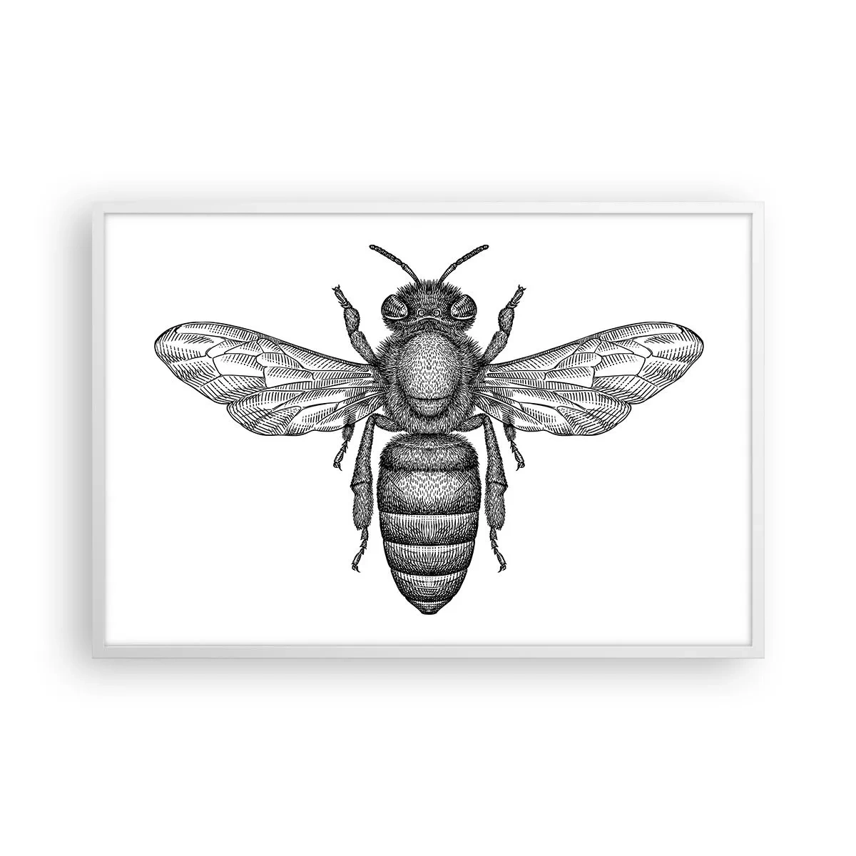Affiche dans un cadre blanc - Poster - Portrait d'insecte - 91x61 cm