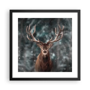 Affiche dans un cadre noir - Poster - Roi de la forêt couronné - 40x40 cm