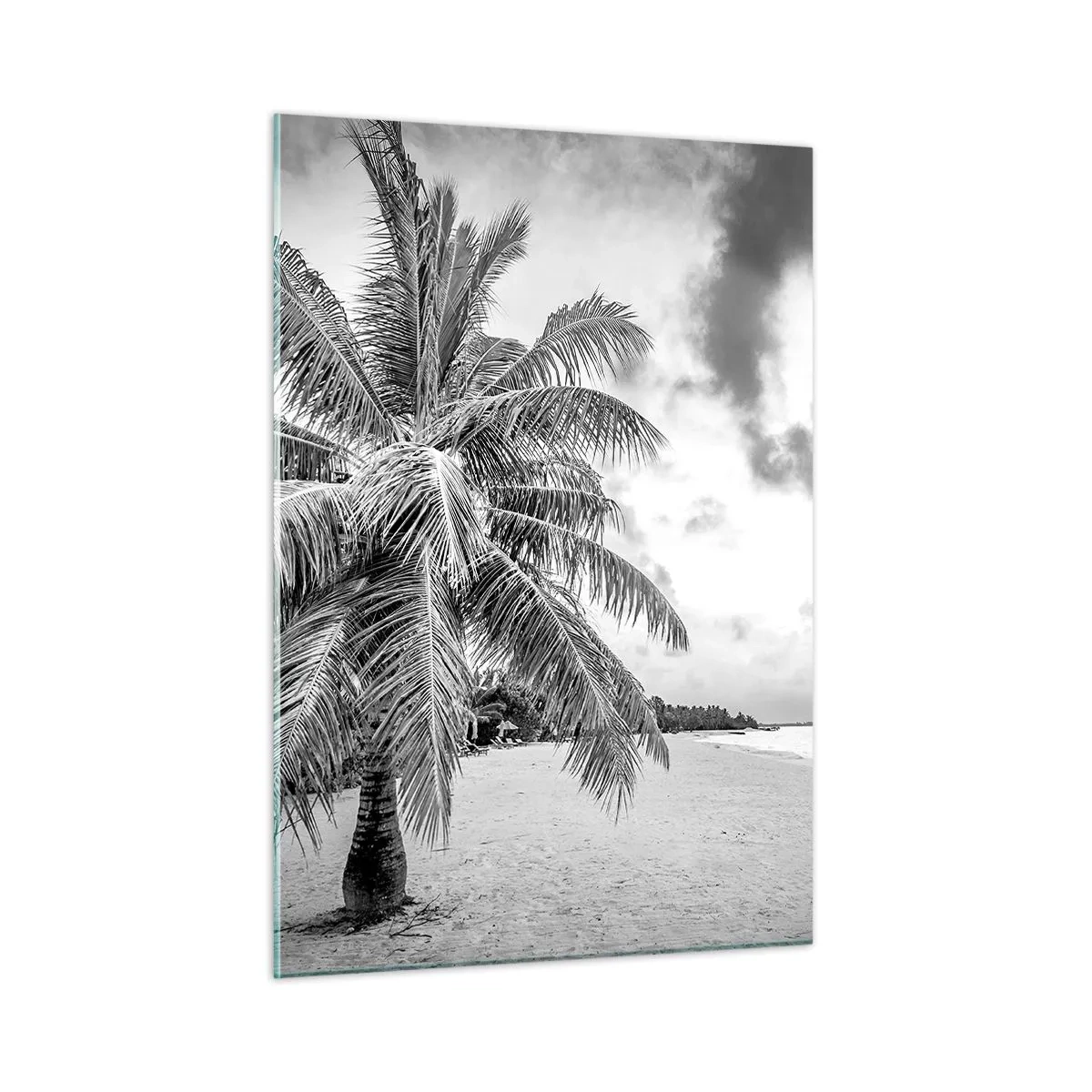 Impression sur verre - Image sur verre - Un palmier noir et blanc sur une plage déserte avec un ciel nuageux. - 50x70cm - Quand tu aspires à la solitude - Décoration murale moderne pour le salon et la chambre ARTTOR