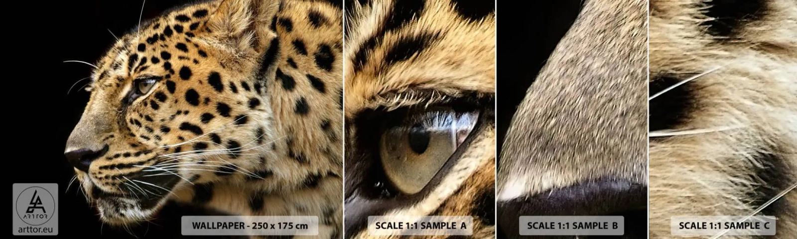 Échantillon de Papier Peint Autocollant Deluxe Sticker - Calme, concentré, prêt - Animaux, léopard, Afrique - 100x30 cm