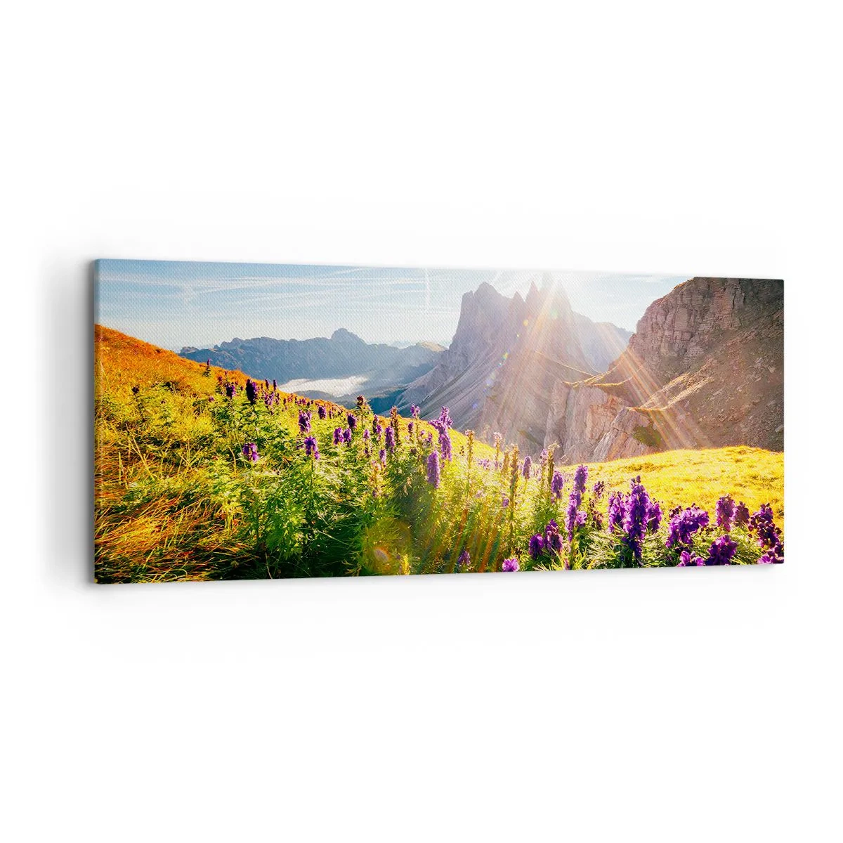 Impression sur toile - Image sur toile - Paysage de montagne avec des fleurs à la lumière du soleil levant - 120x50cm - La vie secrète des herbes - Décoration murale moderne pour le salon et la chambre ARTTOR