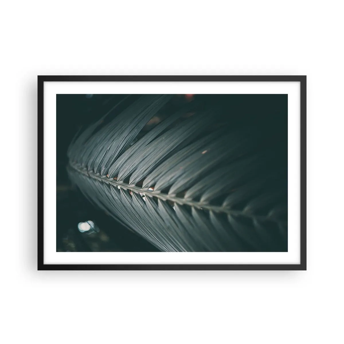Affiche dans un cadre noir - Poster - Gros plan d'un détail de feuille de palmier aux tons sombres - 70x50cm - Précision de la nature - Décoration murale moderne pour le salon et la chambre ARTTOR