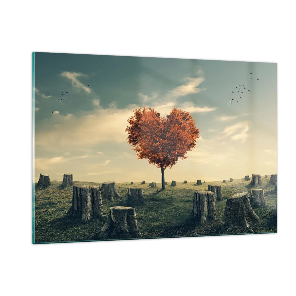 Impression sur verre - Image sur verre - Un arbre en forme de cœur entouré de troncs coupés dans une clairière - 120x80cm - Il y a toujours de l'espoir - Décoration murale moderne pour le salon et la chambre ARTTOR