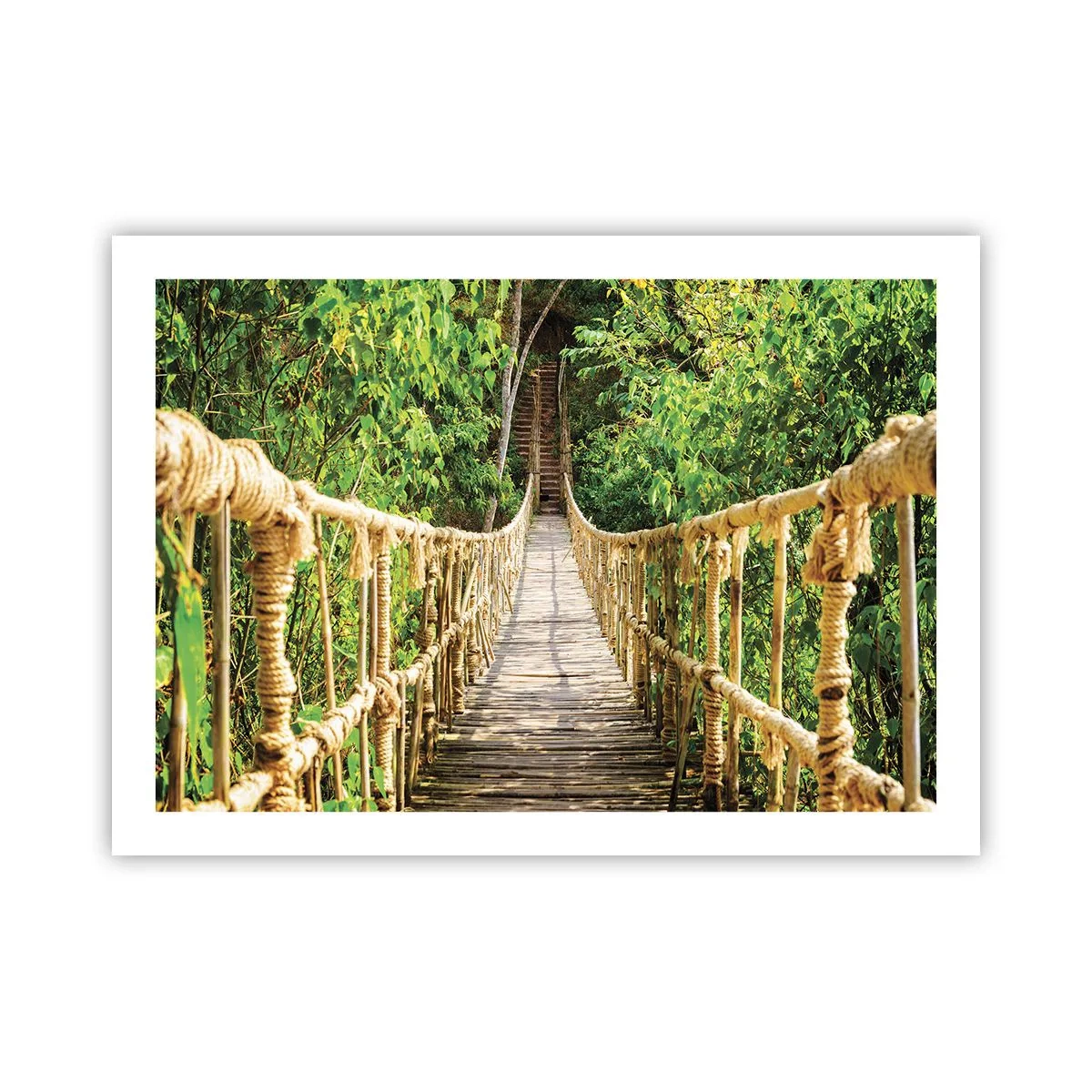 Affiche - Poster - Suspendu dans la nature - 70x50 cm