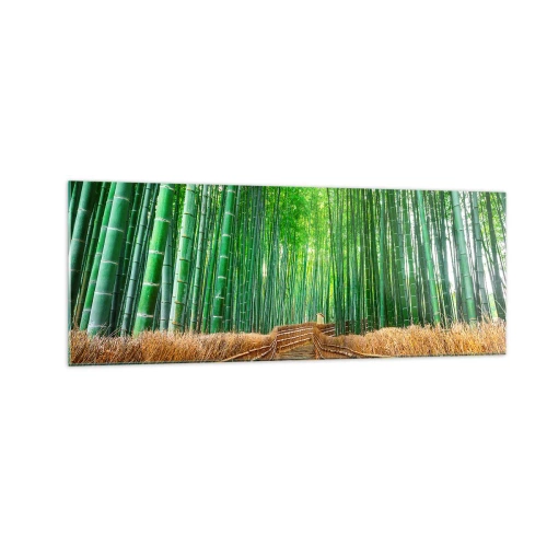 Impression sur verre - Image sur verre - Un chemin dans une dense forêt de bambous - 140x50cm - L'essence de la nature asiatique - Décoration murale moderne pour le salon et la chambre ARTTOR