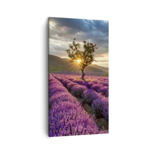 Impression sur toile - Image sur toile - Arôme de couleur lilas - 45x80 cm