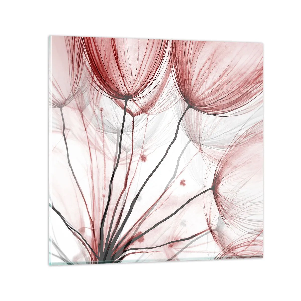 Impression sur verre - Image sur verre - Avant le départ - 50x50 cm