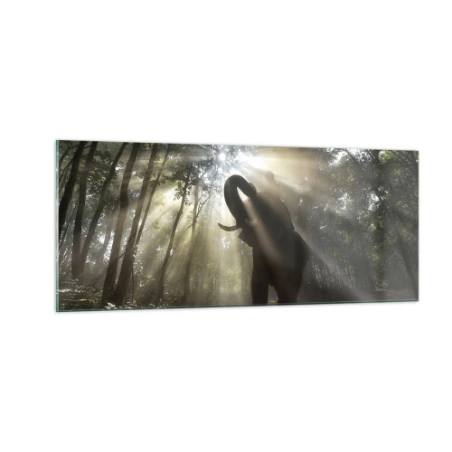 Impression sur verre - Image sur verre - Sous la bonne étoile - 100x40 cm