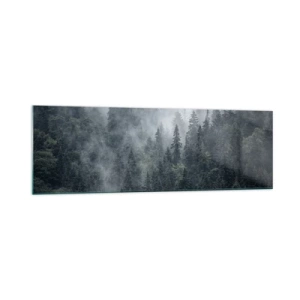 Impression sur verre - Image sur verre - Forêt de conifères brumeuse aux tons gris et verts - 160x50cm - Aube de la forêt - Décoration murale moderne pour le salon et la chambre ARTTOR