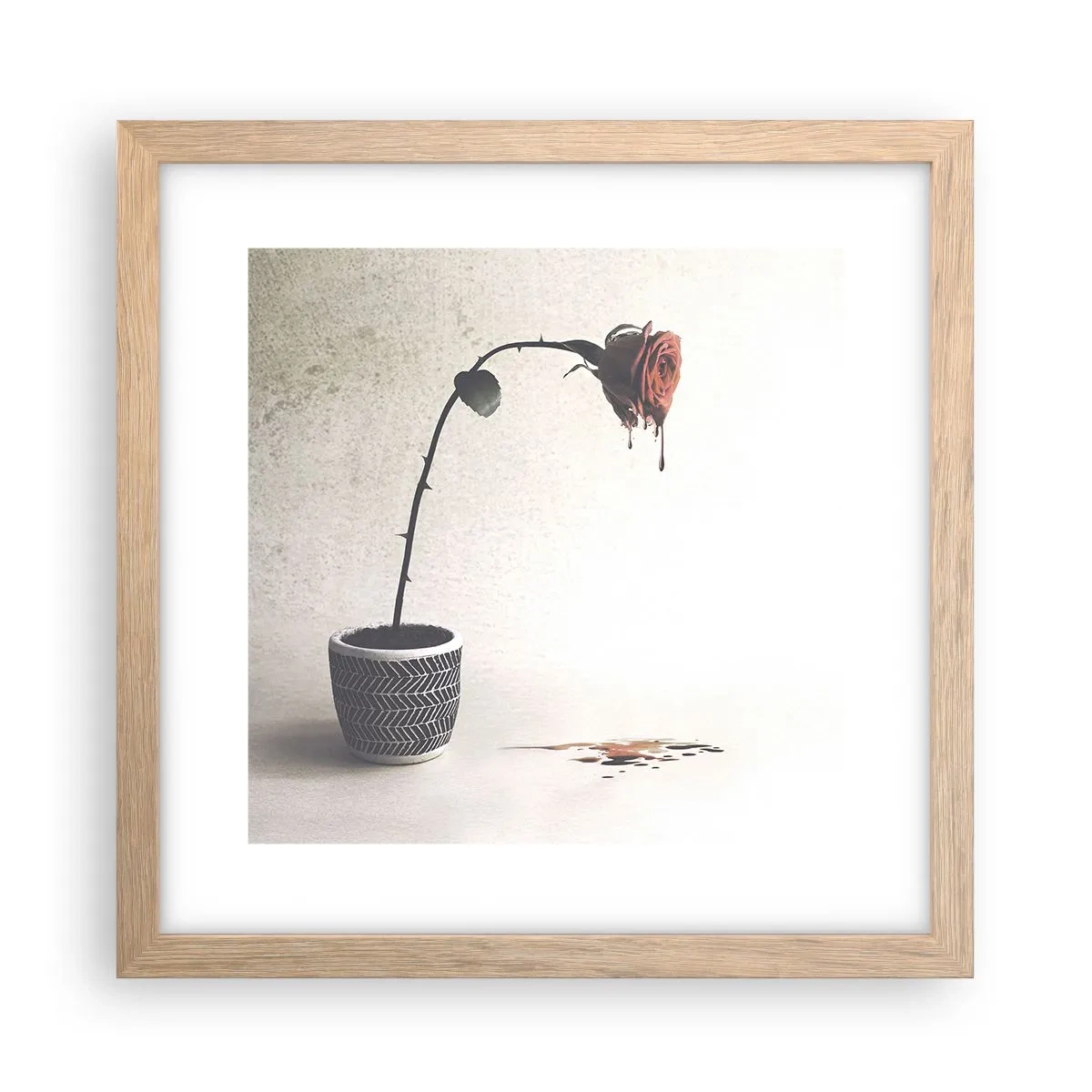 Affiche dans un chêne clair - Poster - Rosa dolorosa - 30x30 cm