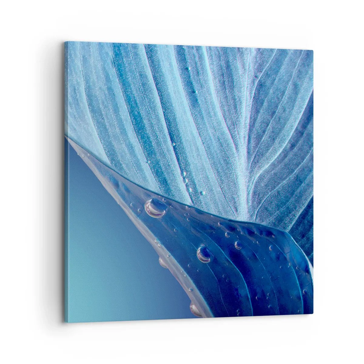 Impression sur toile - Image sur toile - Gouttes cachées du bleu - 60x60 cm