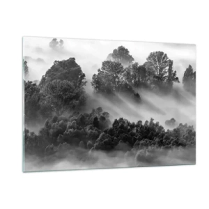 Impression sur verre - Image sur verre - Forêt brumeuse au soleil en noir et blanc - 120x80cm - Sortir de son sommeil - Décoration murale moderne pour le salon et la chambre ARTTOR