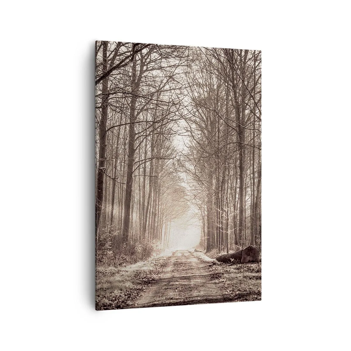 Impression sur toile - Image sur toile - Un chemin forestier parmi des arbres aux tons sépia - 70x100cm - Cathédrale de la forêt - Décoration murale moderne pour le salon et la chambre ARTTOR