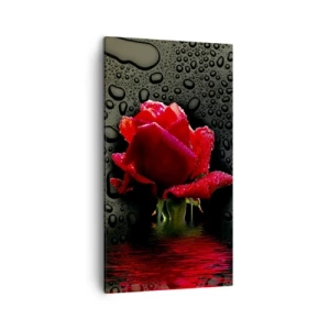 Impression sur toile - Image sur toile - Rouge et noir - 45x80 cm