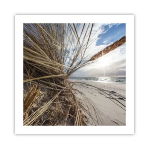 Affiche - Poster - Rencontre des éléments - 50x50 cm