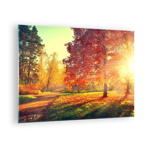 Impression sur verre - Image sur verre - Allée d'automne avec des rayons de soleil - 70x50cm - Le roux est beau - Décoration murale moderne pour le salon et la chambre ARTTOR