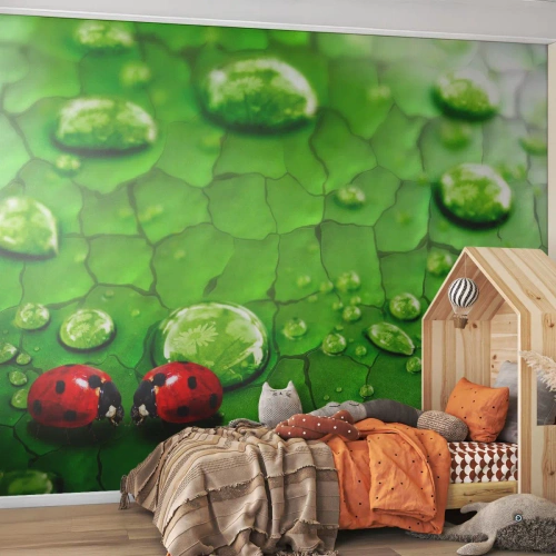 Papier Peint Photo Standard Eco - Rendez-vous au vert - Nature, Coccinelle, Une goutte d'eau - 250x175 cm