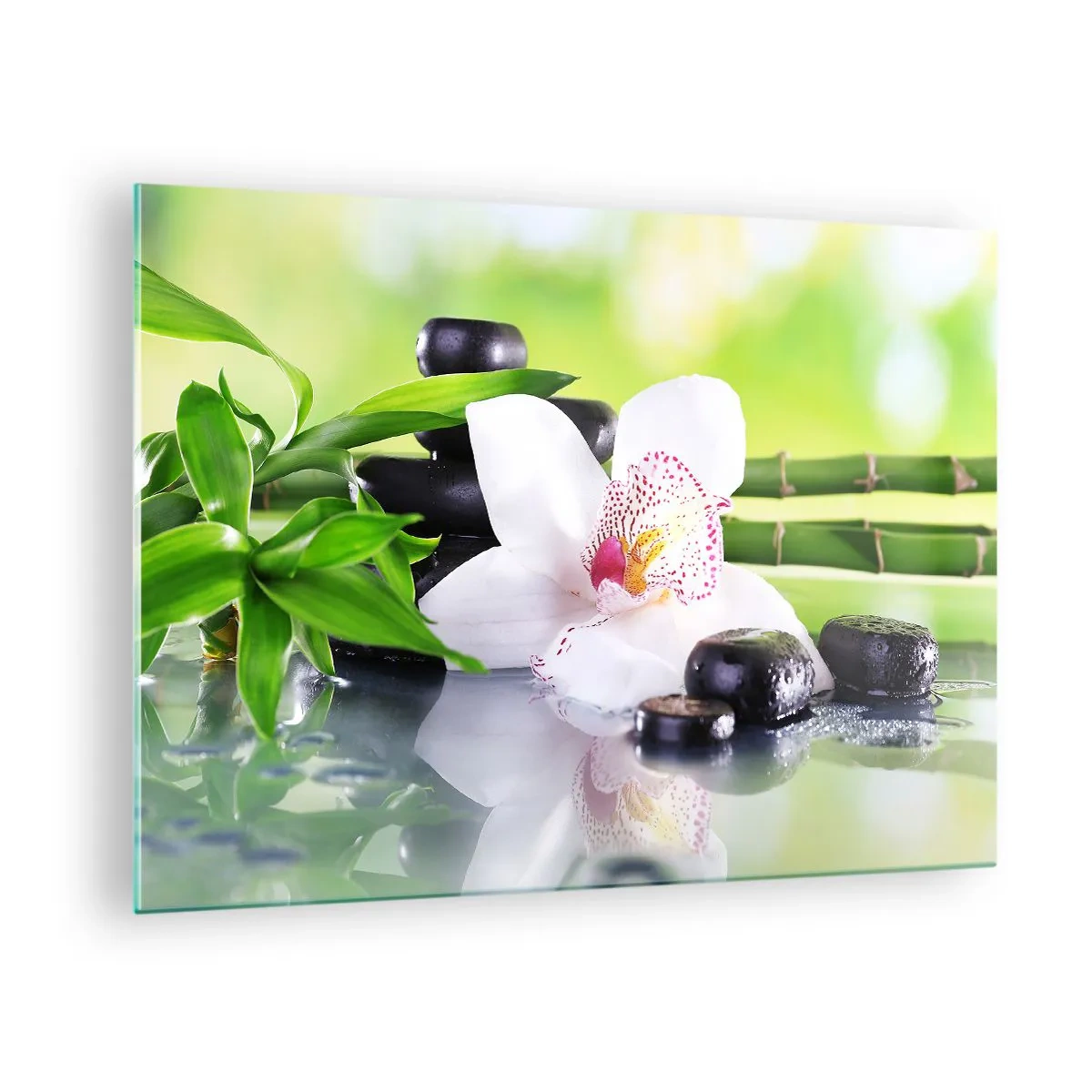 Impression sur verre - Image sur verre - Orchidée, bambou et pierres noires sur fond vert - 70x50cm - Raffraîchissement de fraîcheur - Décoration murale moderne pour le salon et la chambre ARTTOR