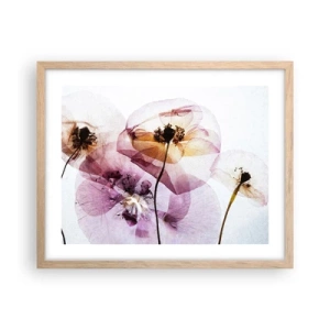 Affiche dans un chêne clair - Poster - Corps de fleurs transparente - 50x40 cm