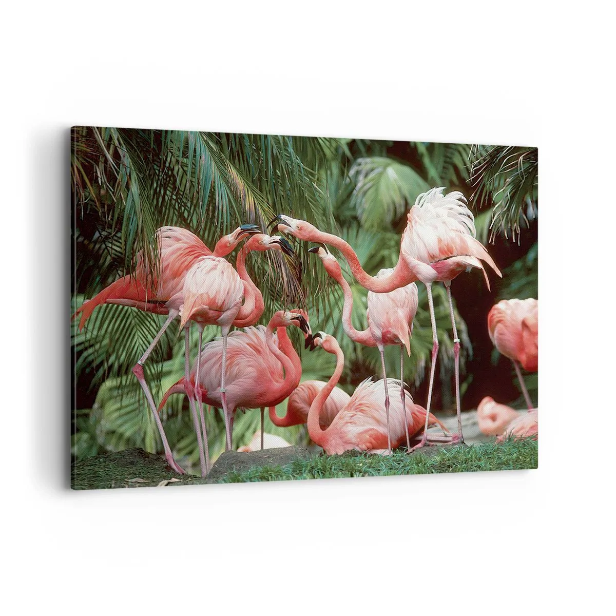 Impression sur toile - Image sur toile - Un groupe de flamants roses dans un cadre tropical entouré de palmiers - 120x80cm - Potins d'après-midi - Décoration murale moderne pour le salon et la chambre ARTTOR