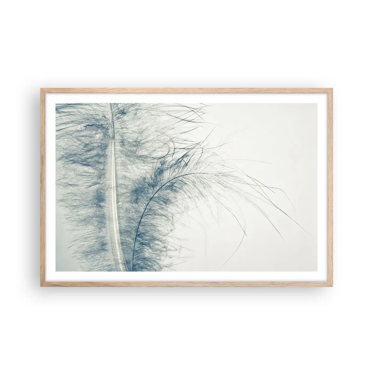 Affiche dans un chêne clair - Poster - Les sept natures - 91x61 cm