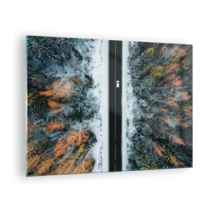 Impression sur verre - Image sur verre - Une route d'hiver à travers une forêt enneigée avec des arbres colorés - 70x50cm - Couper à travers la forêt d'hiver - Décoration murale moderne pour le salon et la chambre ARTTOR
