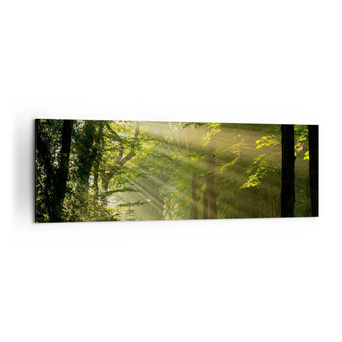Impression sur toile - Image sur toile - Chemin forestier avec les rayons du soleil qui brillent à travers les arbres - 160x50cm - Moment de forêt - Décoration murale moderne pour le salon et la chambre ARTTOR