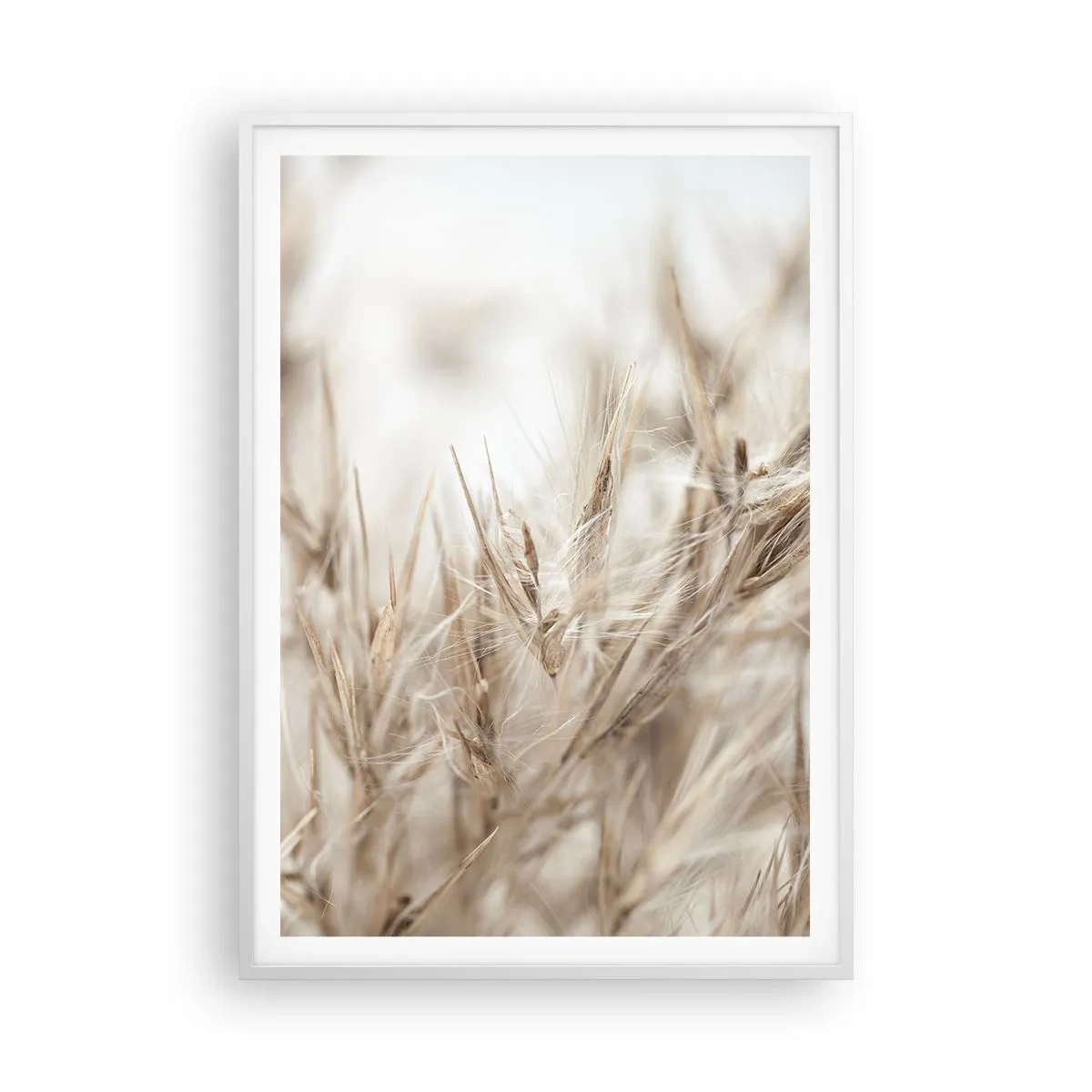 Affiche dans un cadre blanc - Poster - Prairie et vent - 70x100 cm