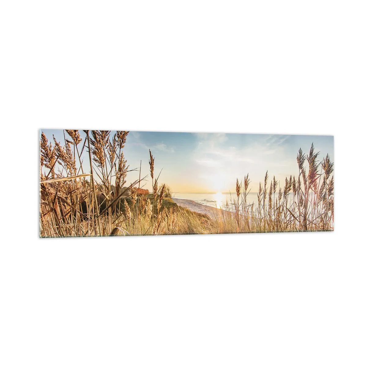 Impression sur verre - Image sur verre - Une plage pittoresque avec de l'herbe et le soleil couchant - 160x50cm - Plage du nord - Décoration murale moderne pour le salon et la chambre ARTTOR