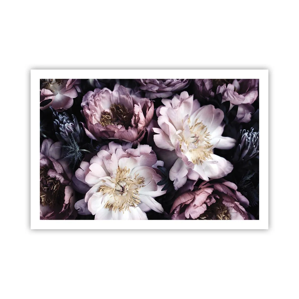 Affiche - Poster - Bouquet à l'ancienne - 91x61 cm