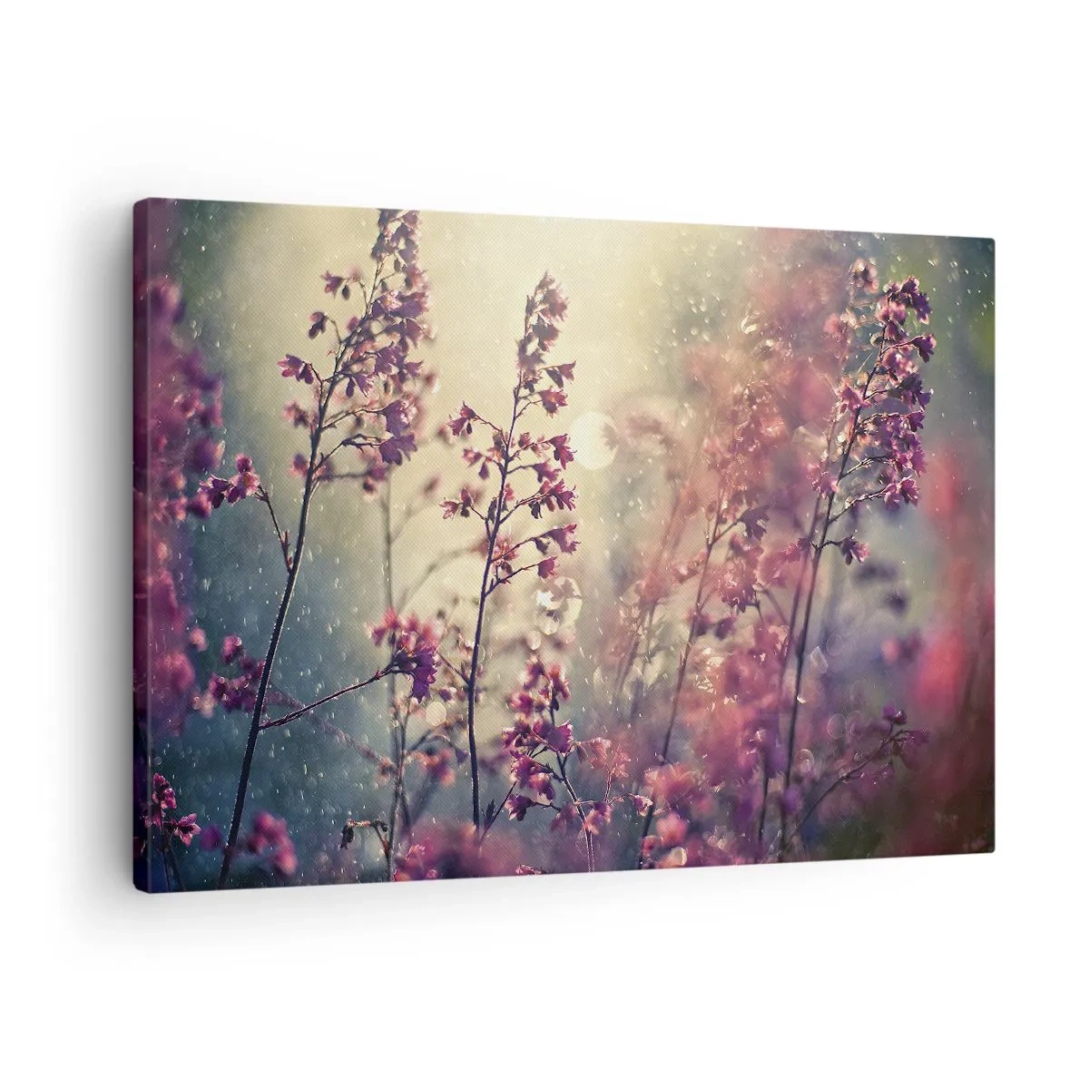 Impression sur toile - Image sur toile - Fleurs au soleil sur fond de nature - 70x50cm - Jardin secret - Décoration murale moderne pour le salon et la chambre ARTTOR