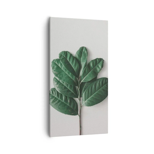 Impression sur toile - Image sur toile - Dessin de la nature elle-même - 55x100 cm