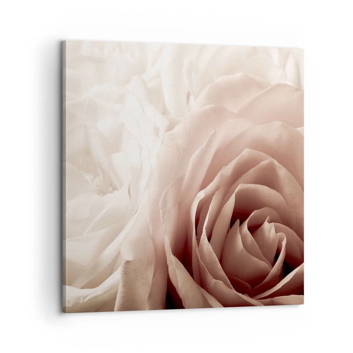 Impression sur toile - Image sur toile - Au coeur d'ue la rose - 60x60 cm