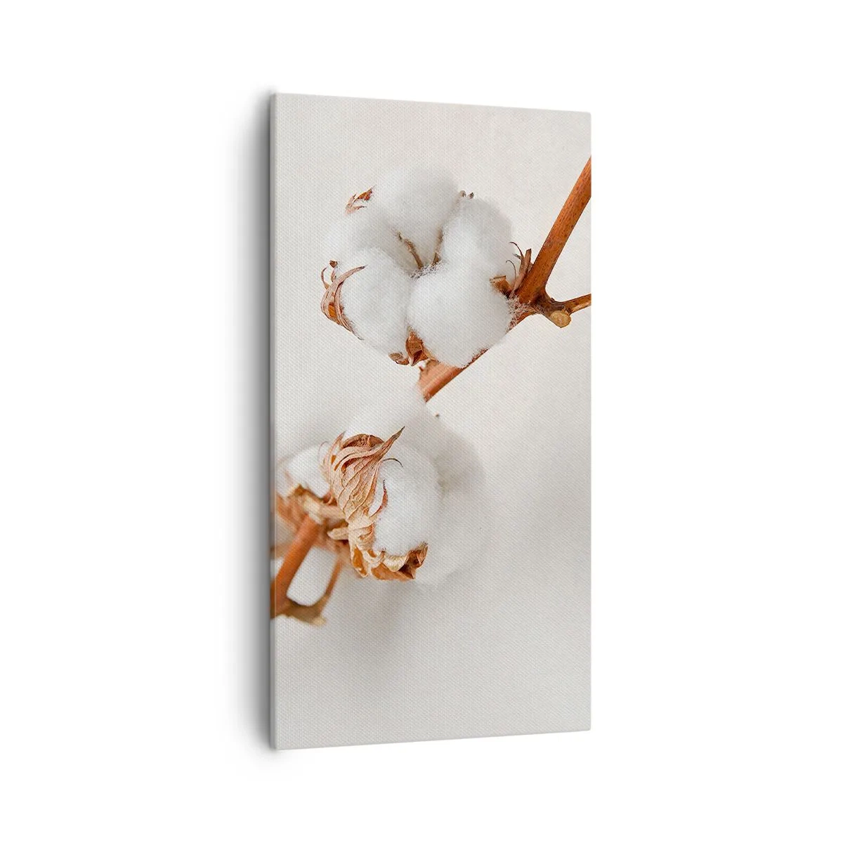 Impression sur toile - Image sur toile - Seulement caliner - 55x100 cm