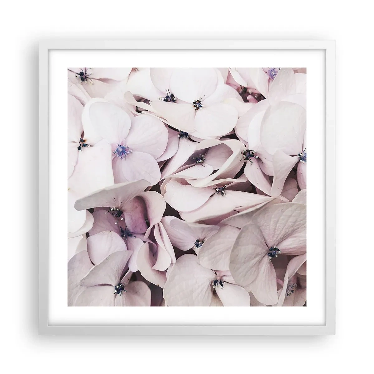 Affiche dans un cadre blanc - Poster - Dans un flot de fleurs - 50x50 cm