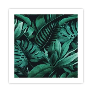 Affiche - Poster - Profondeur du vert tropical - 50x50 cm