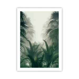 Affiche - Poster - Végétation tropicale dans un décor brumeux - 50x70cm - Secret tropical - Décoration murale moderne pour le salon et la chambre ARTTOR