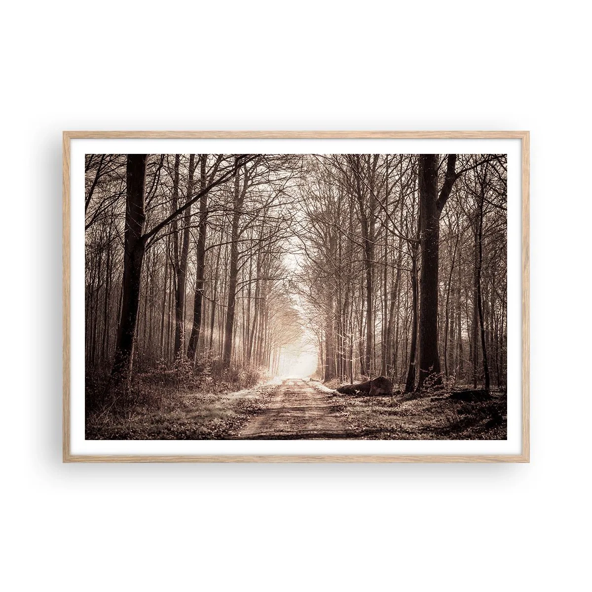 Affiche dans un chêne clair - Poster - Cathédrale de la forêt - 100x70 cm