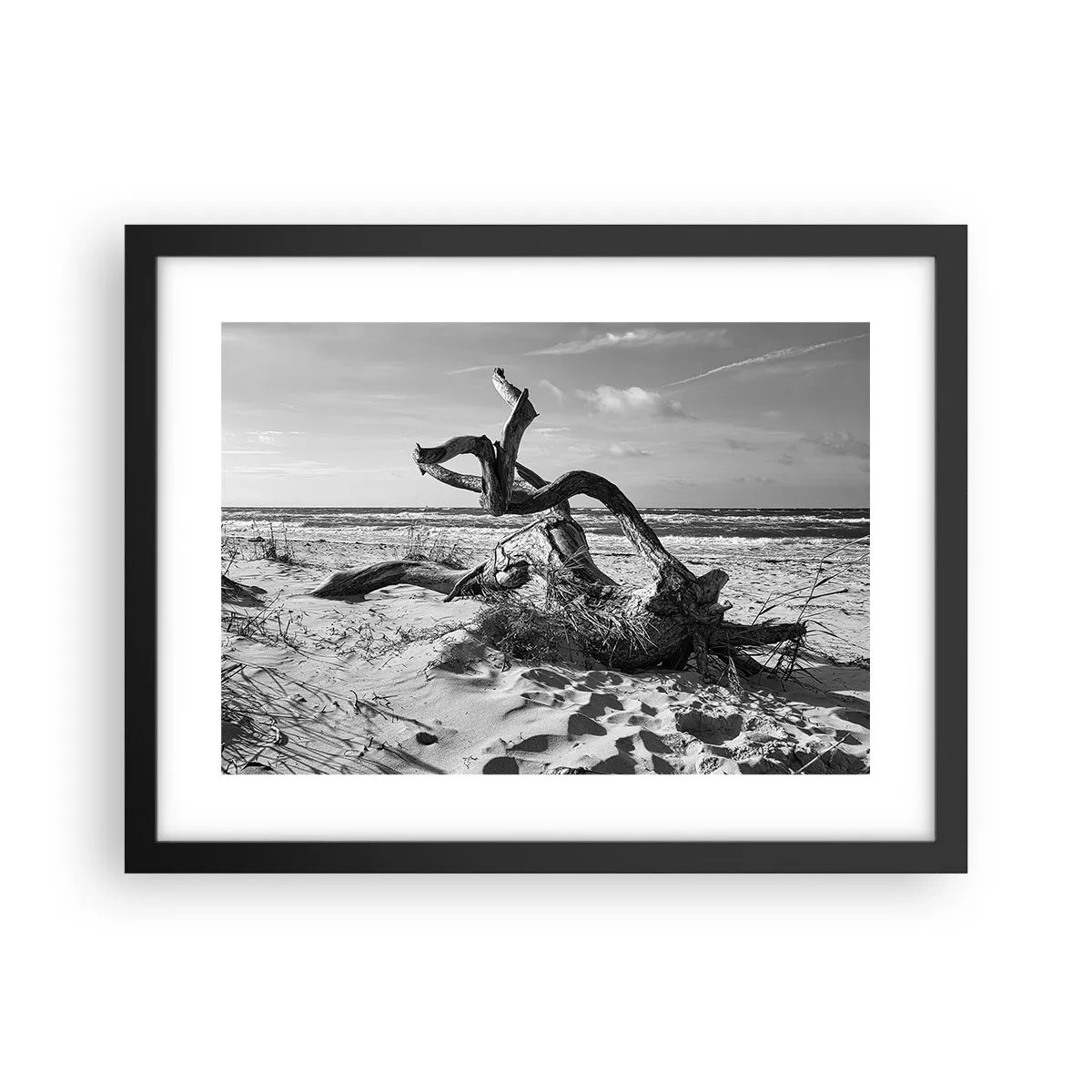 Affiche dans un cadre noir - Poster - Sculpture marine - 40x30 cm