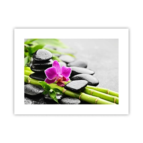 Affiche - Poster - Dans un équilibre de calme - 40x30 cm