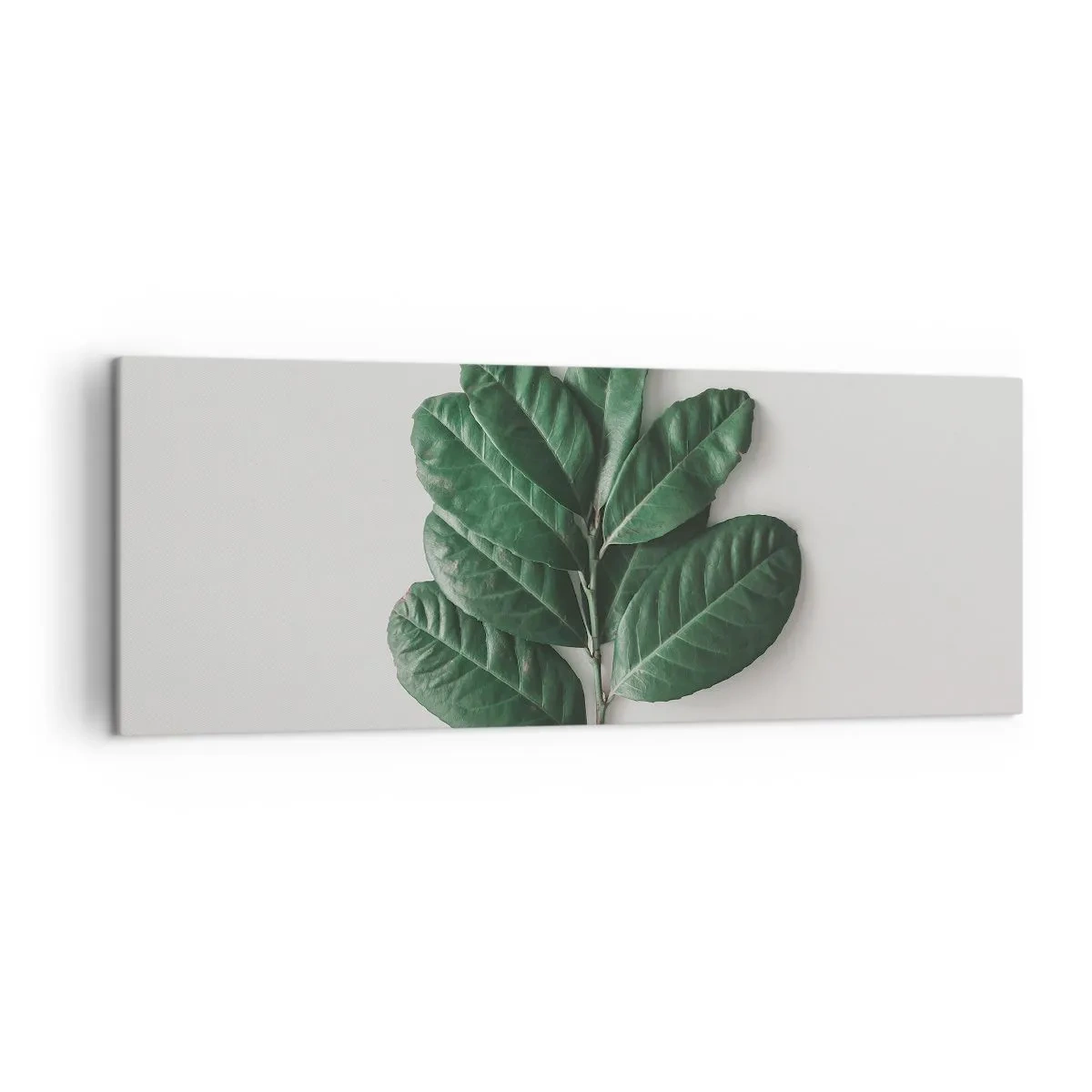 Impression sur toile - Image sur toile - Un brin de feuilles vertes sur un fond clair - 140x50cm - Dessin de la nature elle-même - Décoration murale moderne pour le salon et la chambre ARTTOR